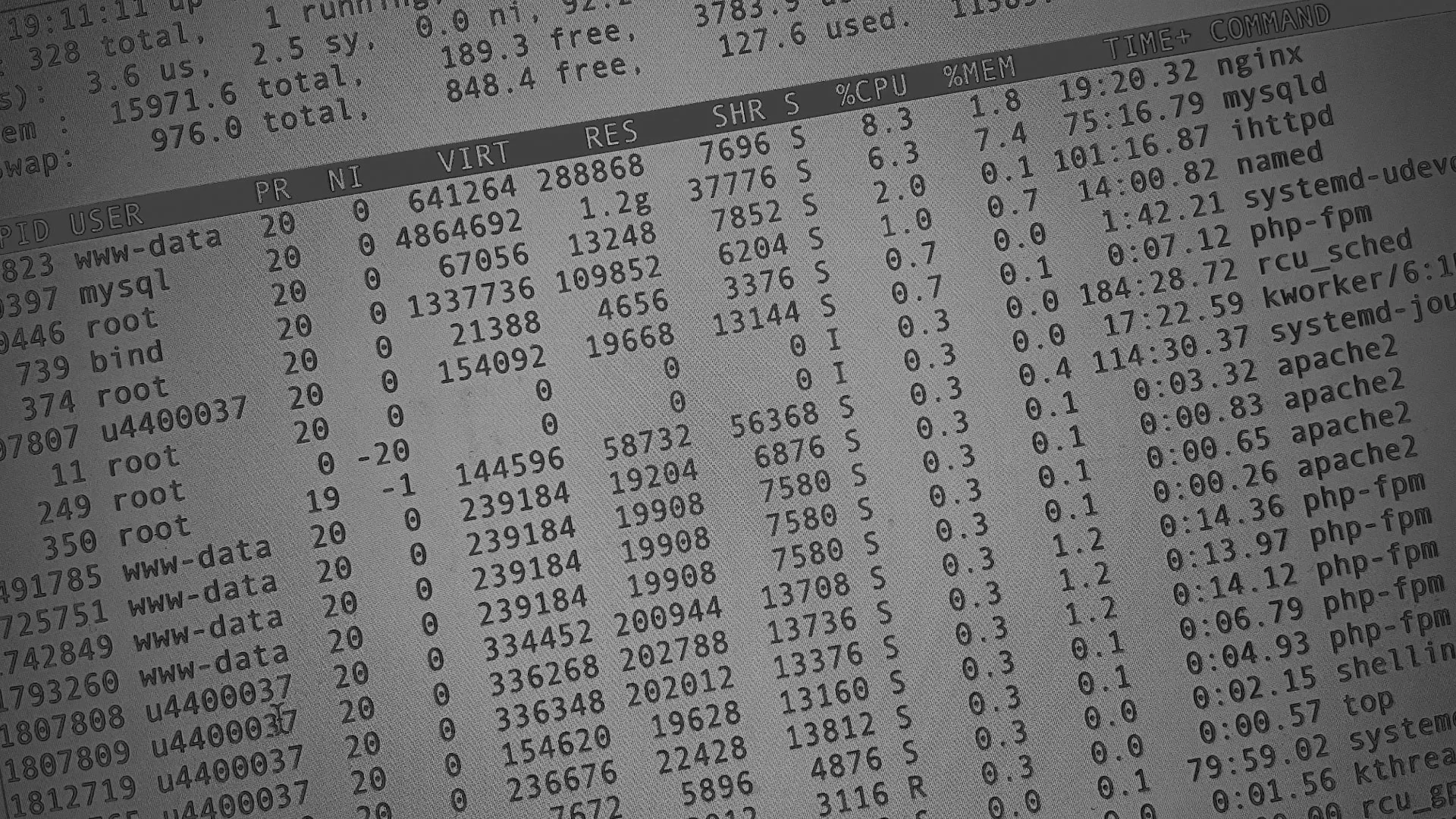 Настройка сервера в Зиме