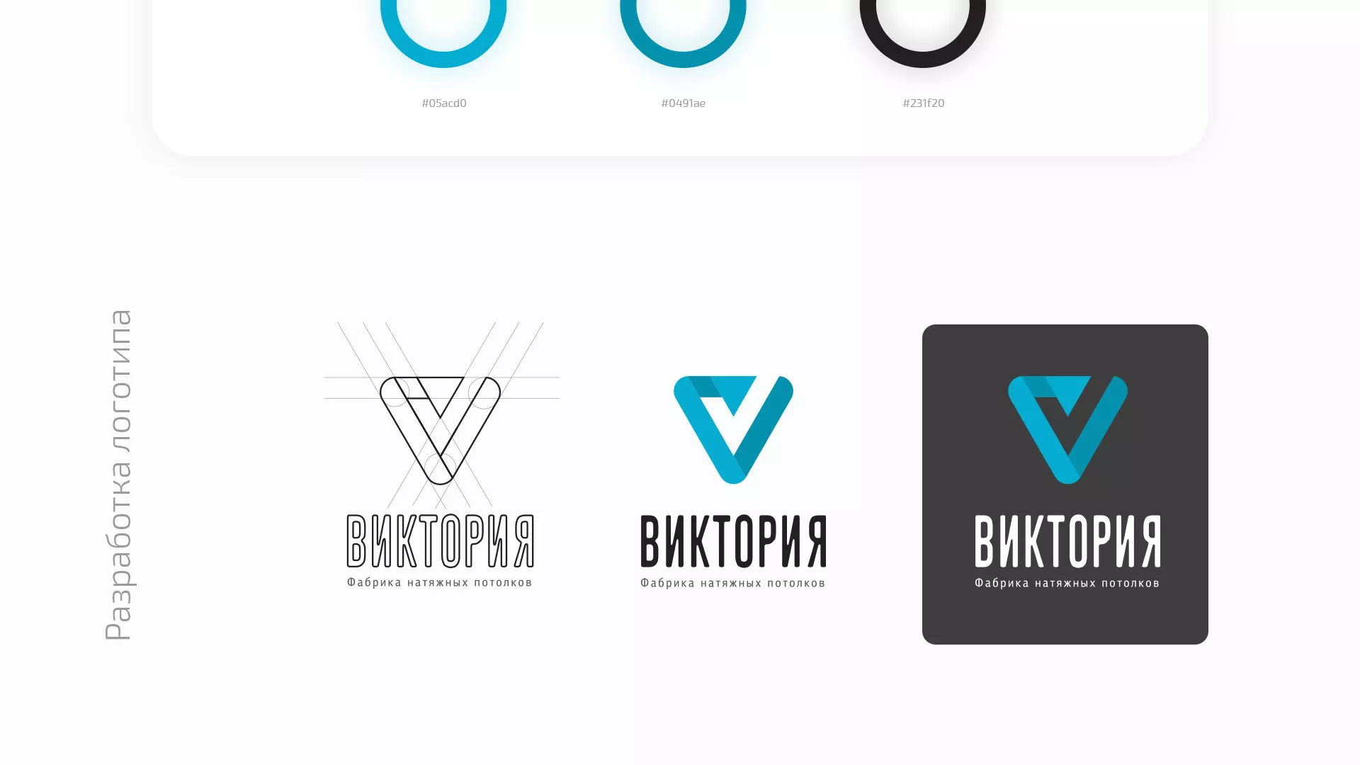 Разработка фирменного стиля компании по продаже и установке натяжных потолков в Зиме