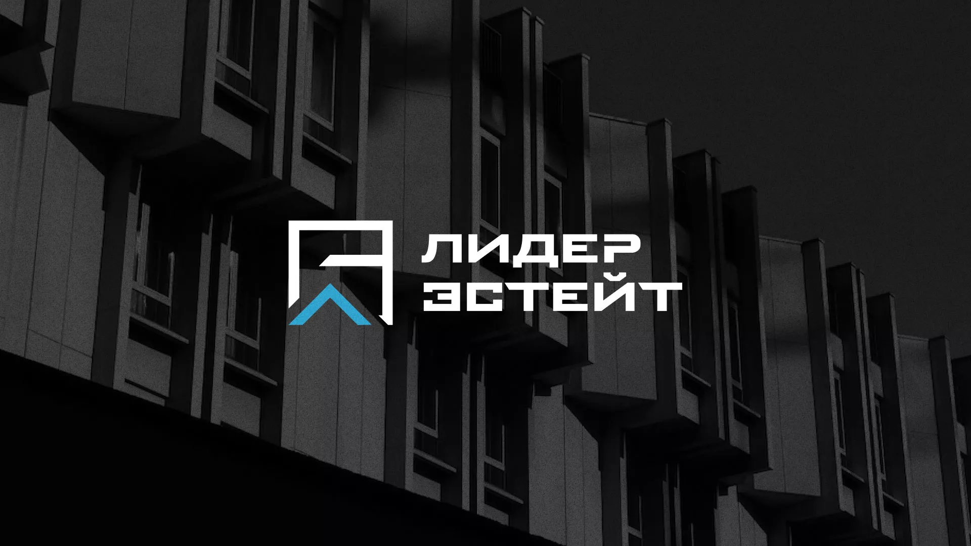 Разработка логотипа агентства недвижимости «Лидер Эстейт» в Зиме