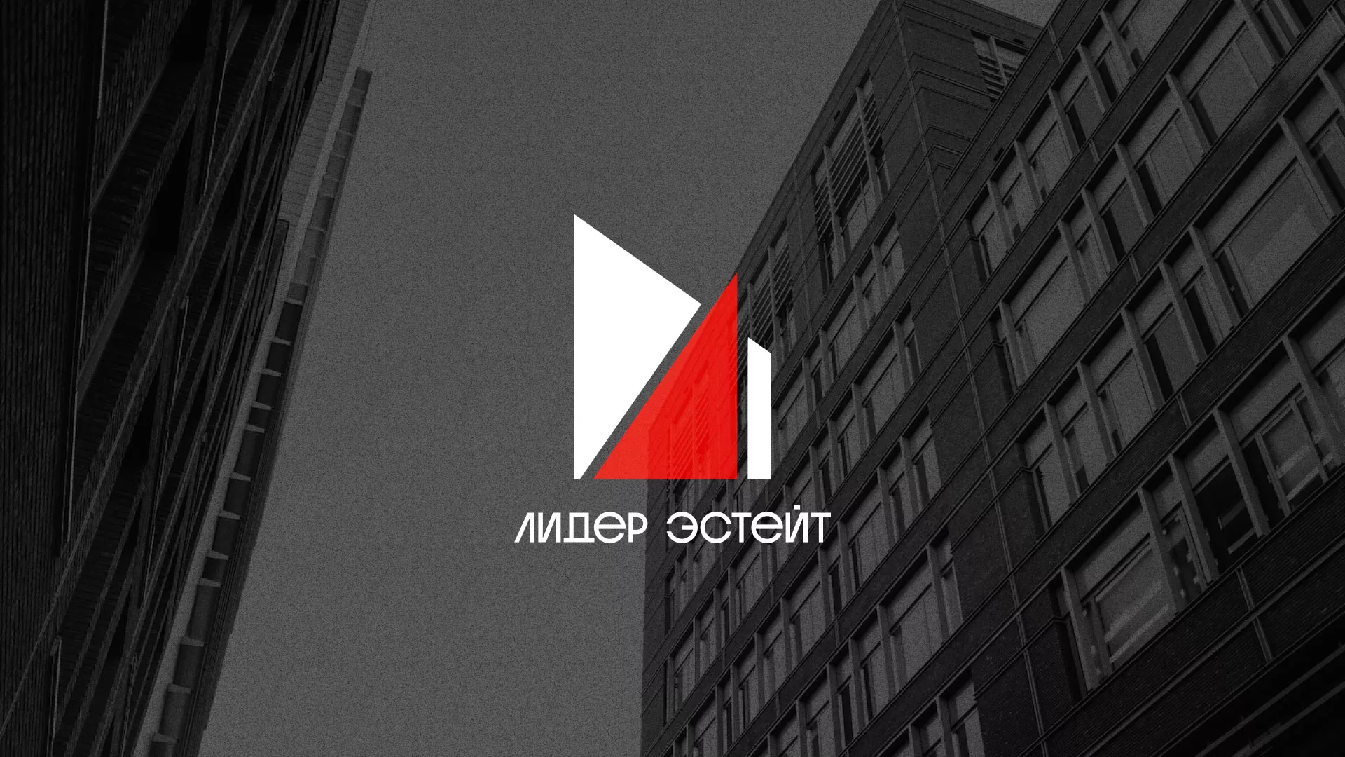 Сделали логотип для агентства недвижимости «Лидер Эстейт» в Зиме